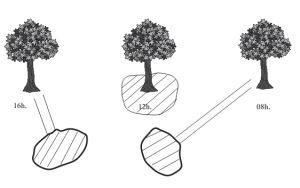 Gnomon, Trayectoria solar
